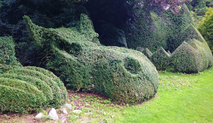 Yew hedge clipped to the shape of a sleeping dragon