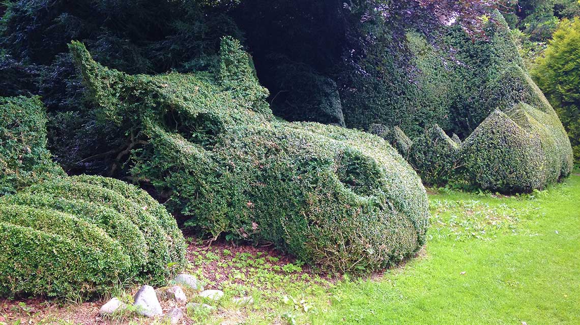 Yew hedge clipped to the shape of a sleeping dragon