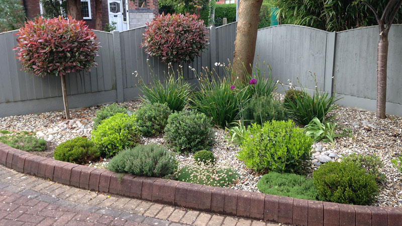 Shrubs planted in gravel